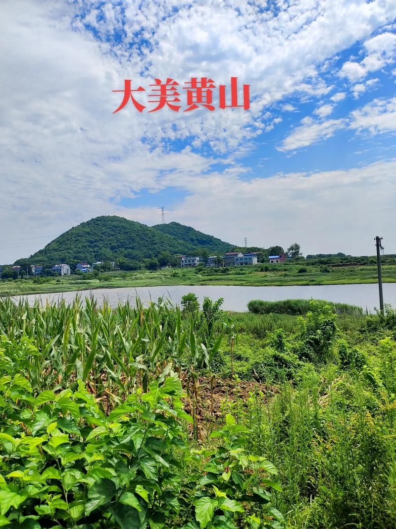 乡村生活的快乐暑假官方网站怎么进入？手把手教你轻松访问！