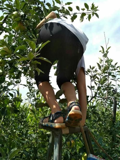 乡村生活的快乐暑假怎么下载？新手操作步骤详解！