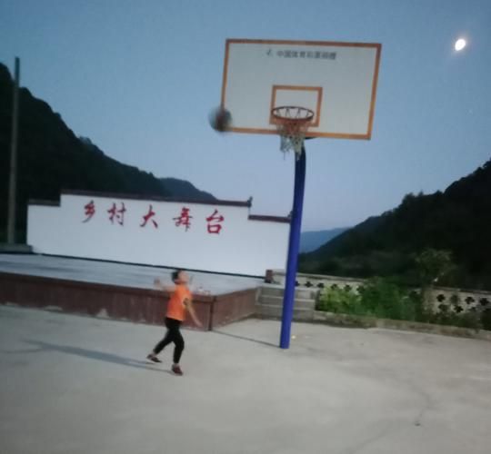 乡村生活的快乐暑假怎么下载？新手操作步骤详解！
