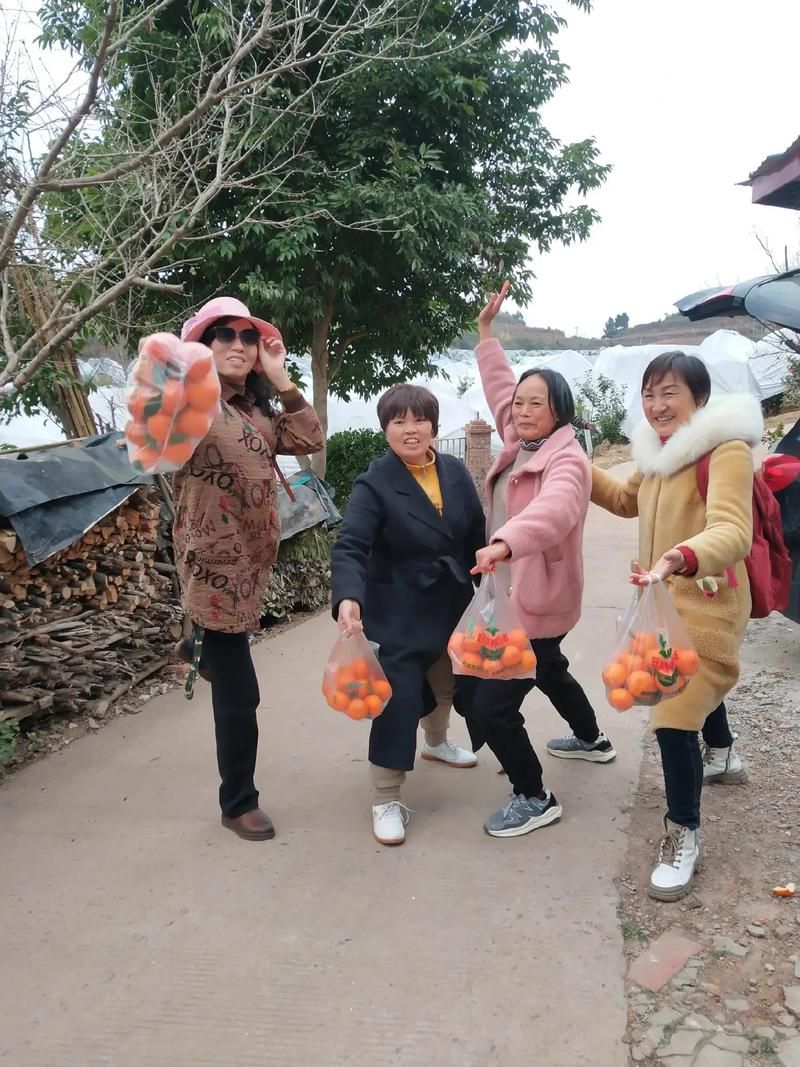 乡村生活的快乐暑假版本大全好玩吗？真实体验快乐分享！