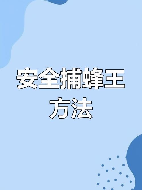 书呆子与蜂王官方网站安全吗？真实用户评价揭晓！