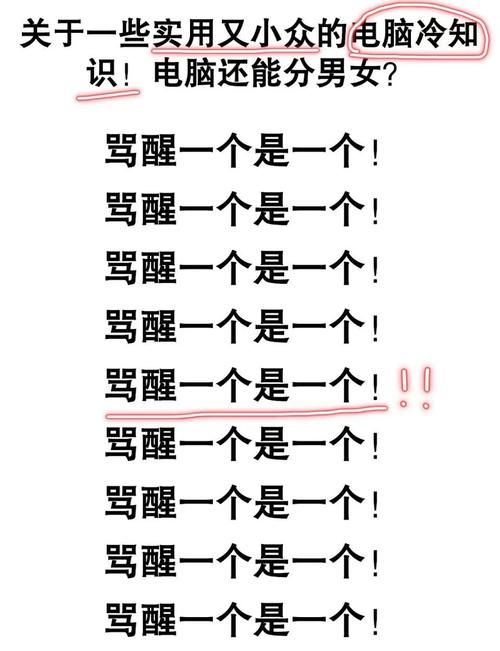 书呆子与蜂王官网啥内容？揭秘有趣功能实用技巧推荐！