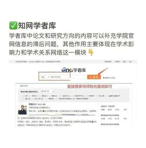 书呆子与蜂王最新版本是多少？用户分享快速获取方法！