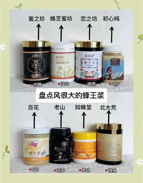 书呆子与蜂王版本大全哪个版本好？新手必看这份详细解析！