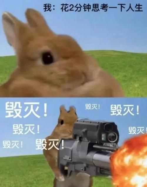 二次人生在哪下载最安全？避坑指南别错过！