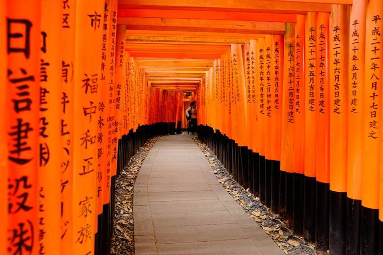 五谷神稻荷Inari最新版本值不值得下？(用户评测帮你做决定)