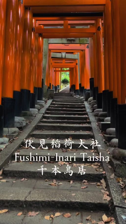 五谷神稻荷：Inari安卓汉化版本对比优势(汉化版亮点详细介绍)