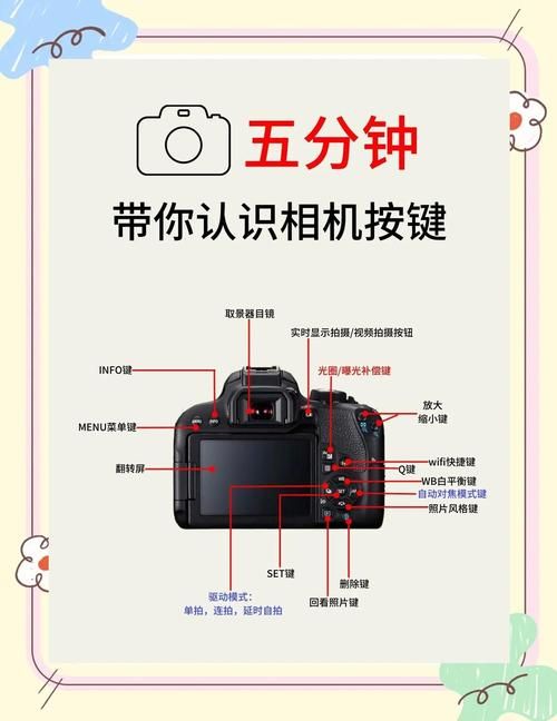 交到100个朋友最新版本入门教程？新手必看10分钟快速掌握！