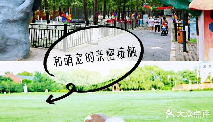 亲密接触最新版本对比旧版？(5大升级亮点全总结)