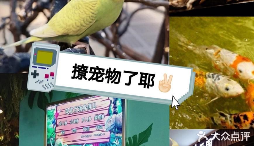 亲密接触最新版本新功能有啥？5大升级亮点揭秘！