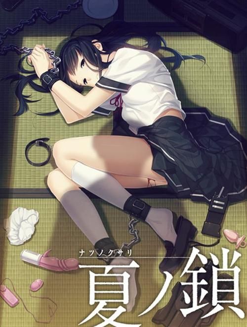 什么安卓能玩监禁女王汉化？适配手机型号全公布！