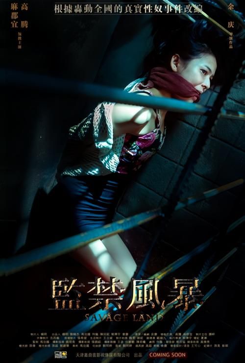 什么安卓能玩监禁女王汉化？适配手机型号全公布！