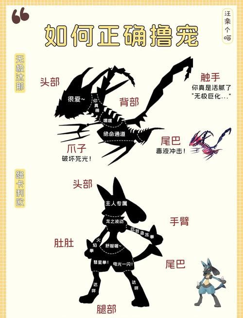 仙凤驯兽师官方网站有哪些功能？五大实用技巧详细介绍！