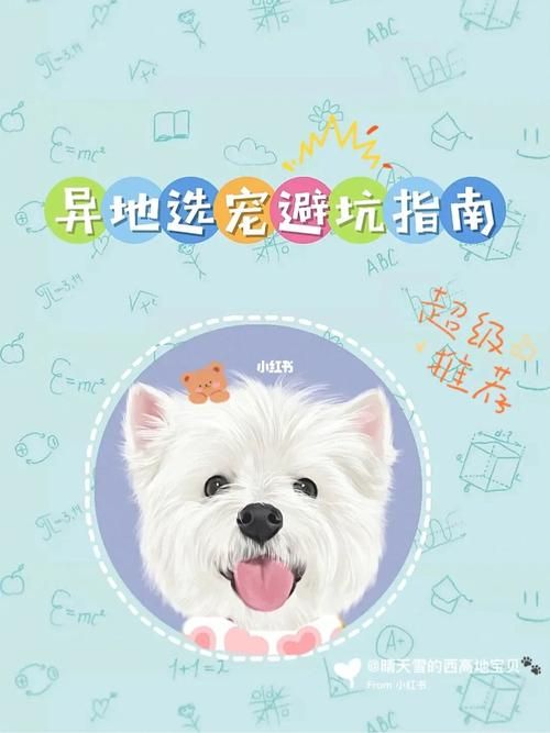 以女友为赌注下载地址怎么选？避坑指南一看就懂