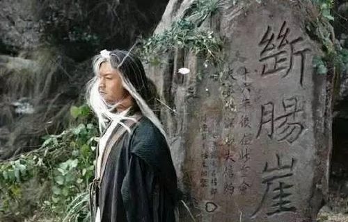 伊德海拉之影杨过游戏角色亮点？(杨过技能全面解析大全！)