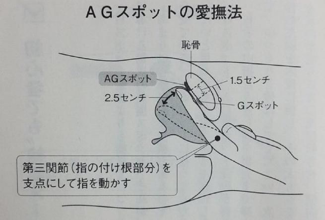 传播欲望绅士游戏如何入门？(简单步骤避开常见错误陷阱)