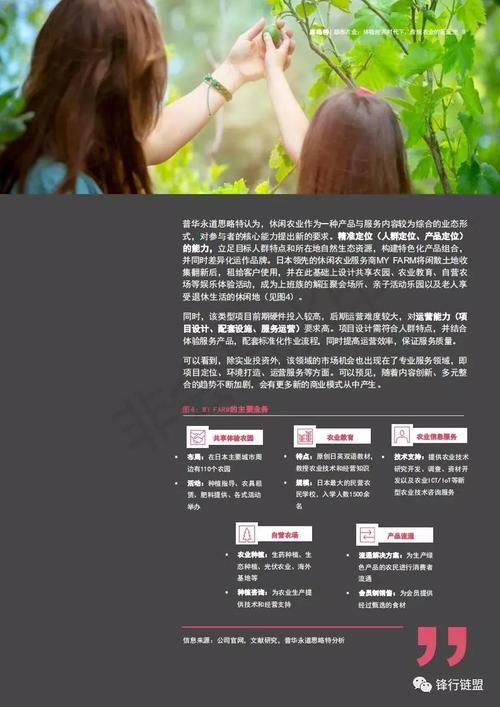 体验我的都市生活汉化版新功能效果如何？(真实玩家实测报告)