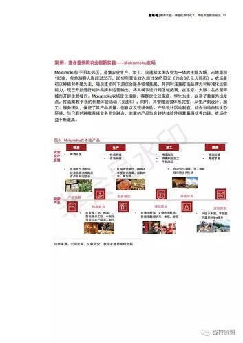 体验我的都市生活汉化版新功能效果如何？(真实玩家实测报告)