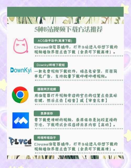 偶像人妻如何下载？新手必学下载技巧分享干货！