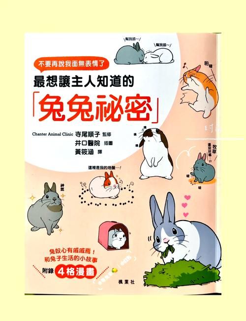 兔兔秘密花园版本大全好用吗？用户真实评价分享！