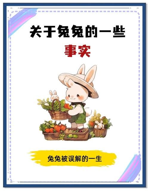兔兔秘密花园版本大全好用吗？用户真实评价分享！