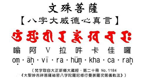 全能的咒语下载安卓在哪里下？推荐靠谱平台快速获取！