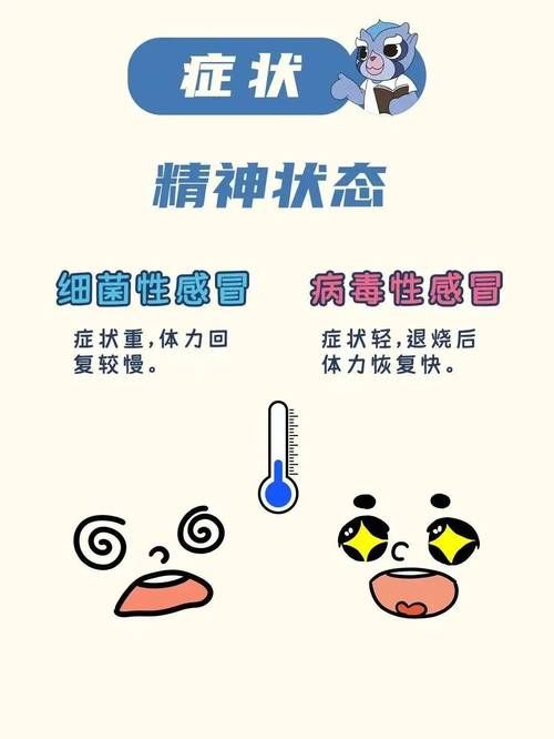 全面诱惑2汉化版下载安全吗（专家教你避开病毒陷阱）