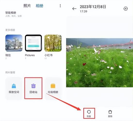 公主万岁官方网站怎么进？最新入口访问方法一网打尽