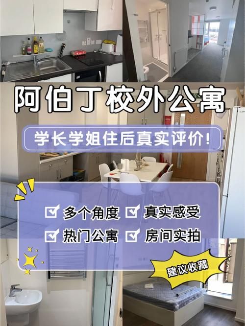 公寓大楼安卓汉化版好不好玩？真实体验分享带你避坑！