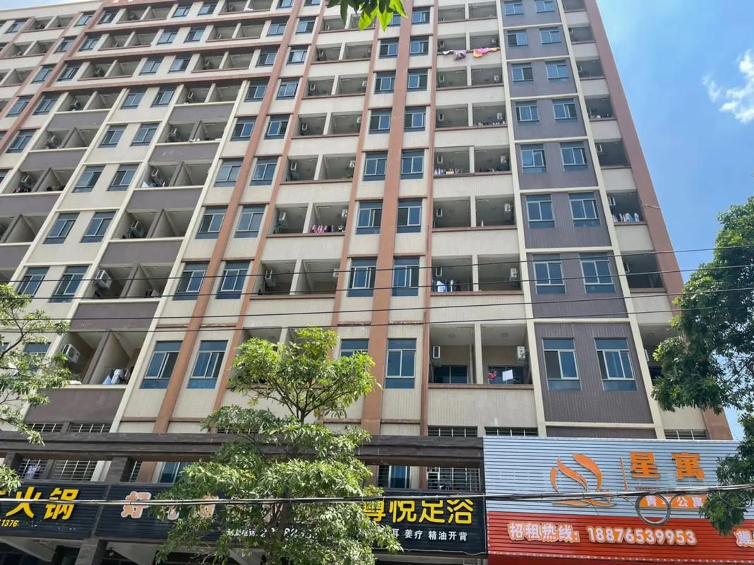 公寓大楼更新地址哪个平台靠谱？(对比推荐省钱又高效)