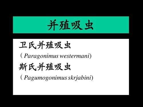 内部寄生虫下载安卓免费版？(获取方法一步到位)