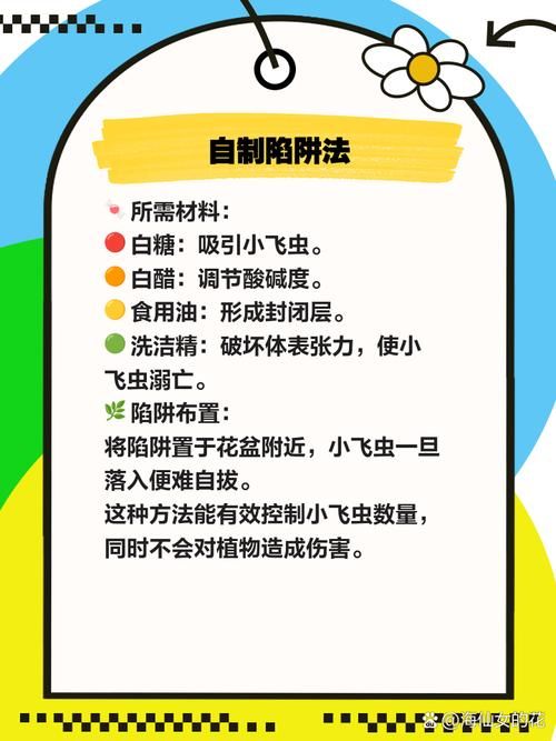 内部寄生虫如何下载速度快？简单技巧轻松提升！