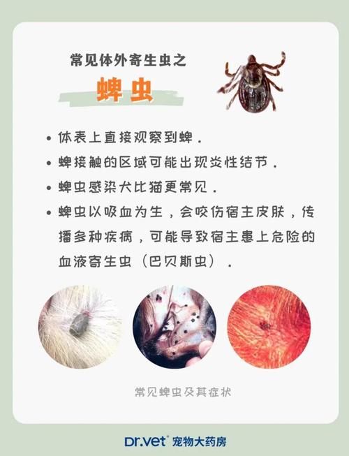 内部寄生虫官网活动有啥？最新福利限时领取别错过