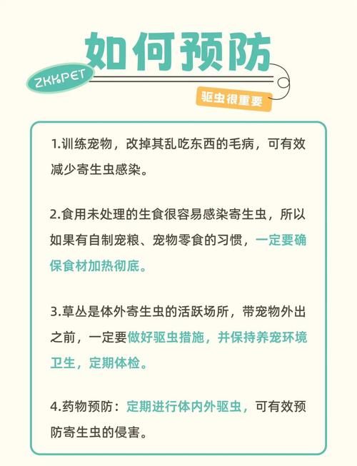 内部寄生虫最新版本是多少？常见问题解答技巧大全！
