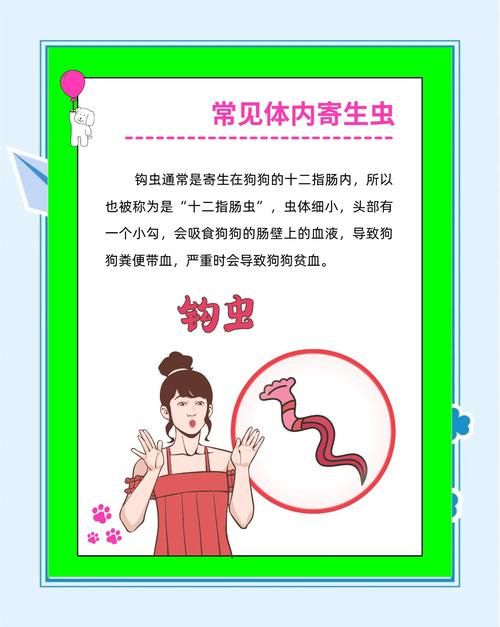 内部寄生虫最新版本是多少？常见问题解答技巧大全！