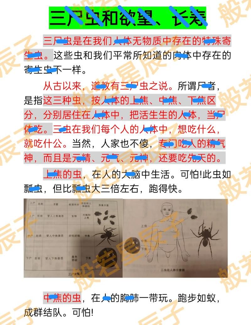 内部寄生虫版本大全有效吗？(真实案例效果证明！)