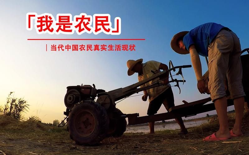 农民的追求官网能下载吗？正版资源获取指南！