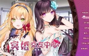 冥婚交友中心最新版本是多少？(用户实测版本号更新体验报告)