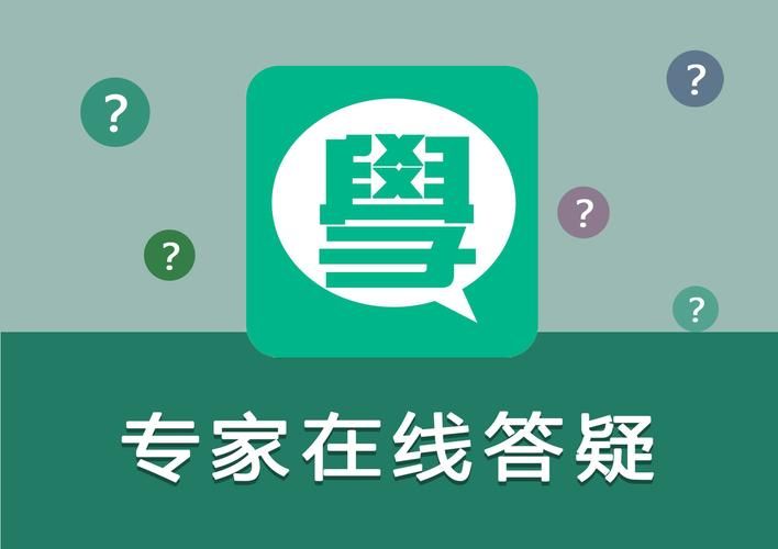 凤凰V11外传Wet版本大全常见问题？专家答疑问答指南攻略！