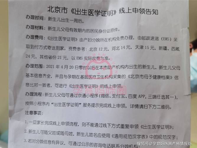 出生证明汉化版更新怎么申请？(简单步骤轻松搞定流程)