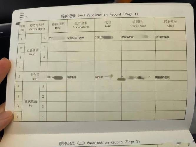 出生证明游戏下载安全吗？推荐这几个可靠的平台！