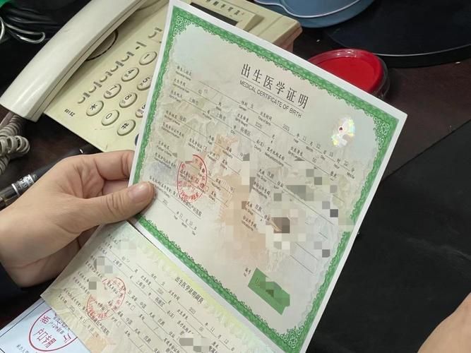 出生证明游戏介绍哪家好？对比热门版本快速做决定！（18字）