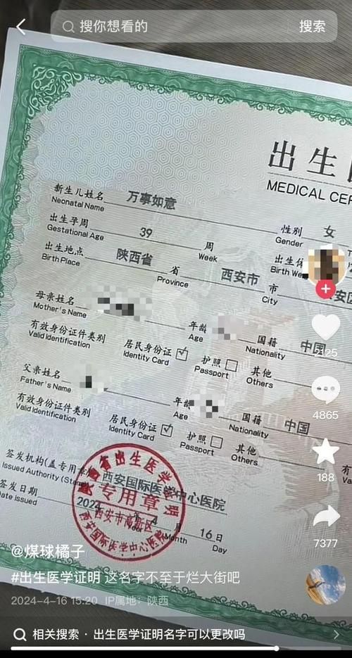 出生证明游戏介绍哪家好？对比热门版本快速做决定！（18字）