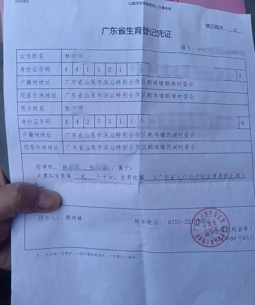 出生证明绅士游戏哪个版本好？实测推荐这三款