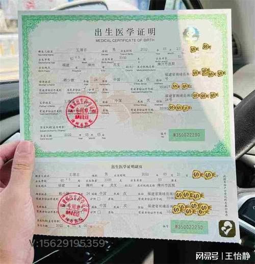 出生证明绅士游戏哪个版本好？实测推荐这三款