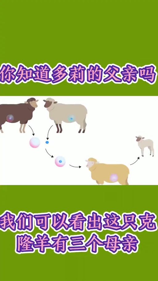 剪羊羊官方正式版下载最新版安装快吗？三步到位省时省力！