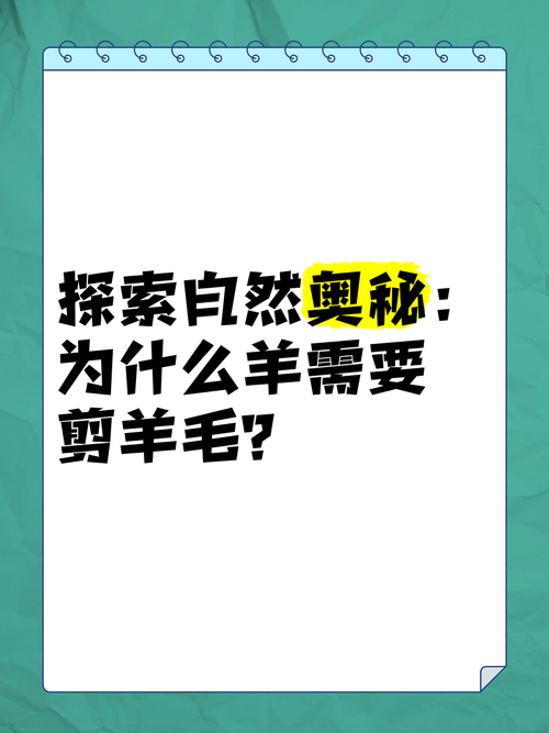 剪羊羊最新版本是多少？教你秒查更新日志方法