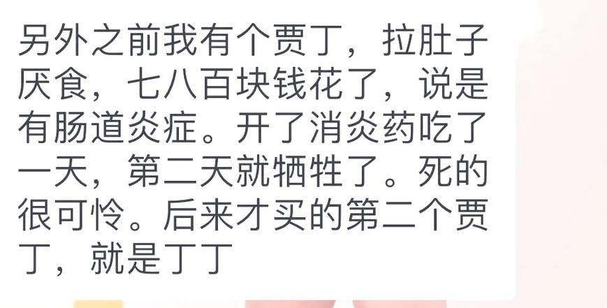 医德更新地址怎么避免错误？资深专家揭露4大坑！