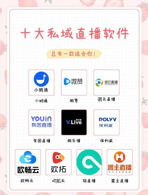 午夜撒娇官网是什么平台？(全面揭秘功能特点及使用指南)