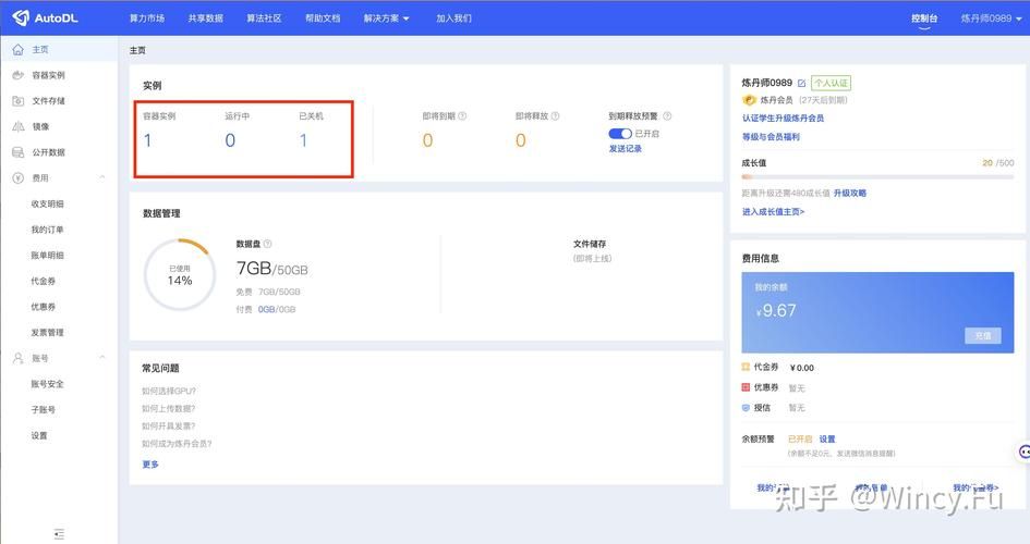 半妖忍少女官网在哪下三步搞定下载安装不迷路